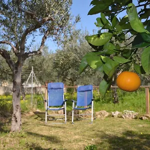 Cascina Degli Ulivi Bed & Breakfast