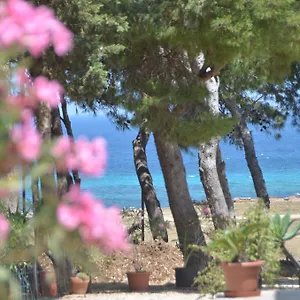 Pineta Sul Mare Appartamento