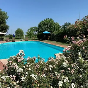 Bordeghina In Pontecchio Polesine