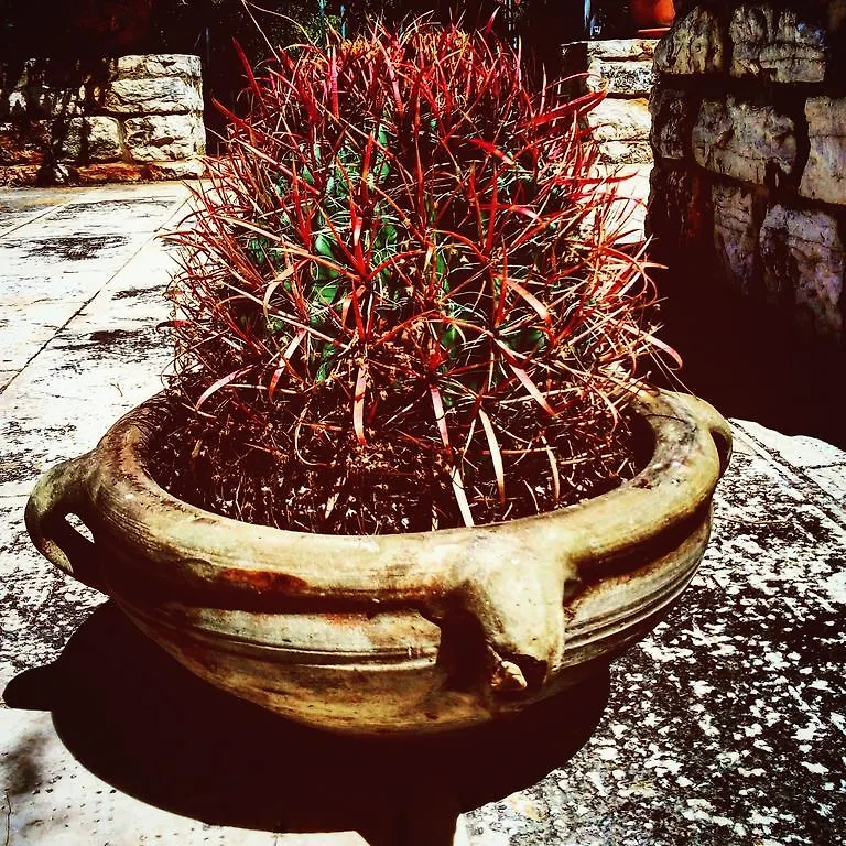 Poggio Di Mare Bed & Breakfast Castelluzzo